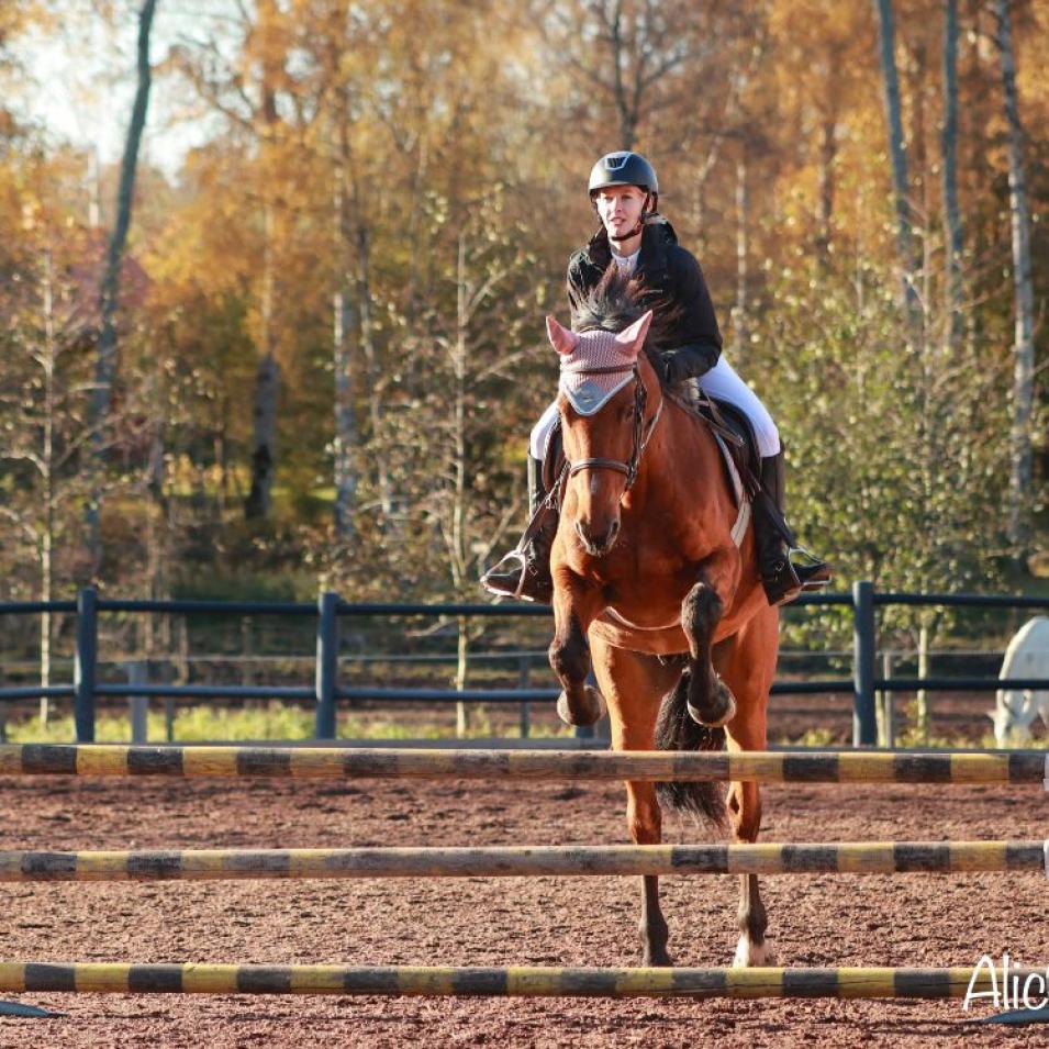 Acke hoppning